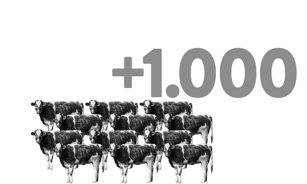 Verdoppelung des Tierbestandes